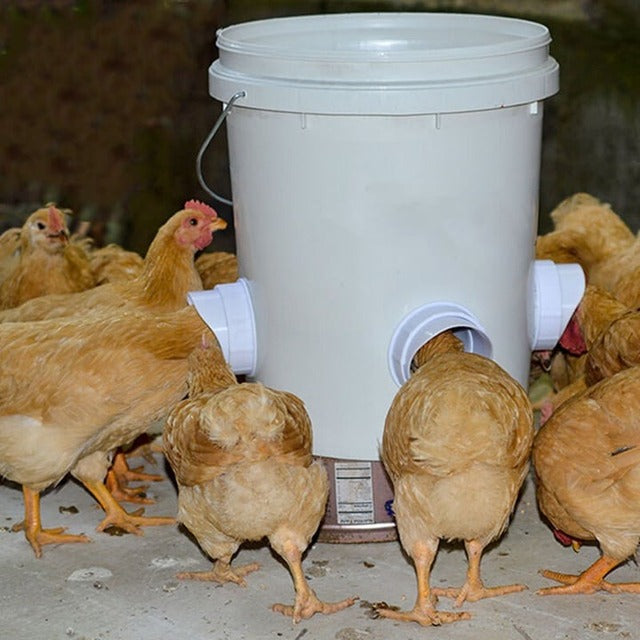 Poultry feeder