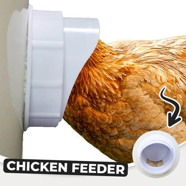 Poultry feeder