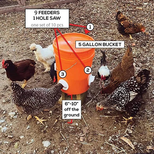 Poultry feeder