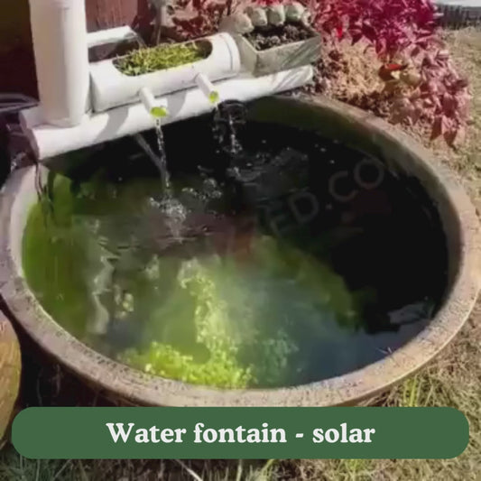 Water fontain - solar