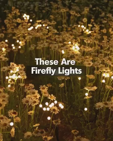 Firefly lights - solar powered - LED