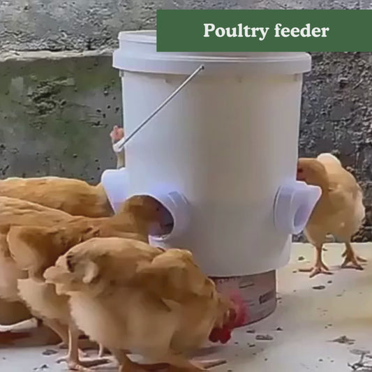 Poultry feeder